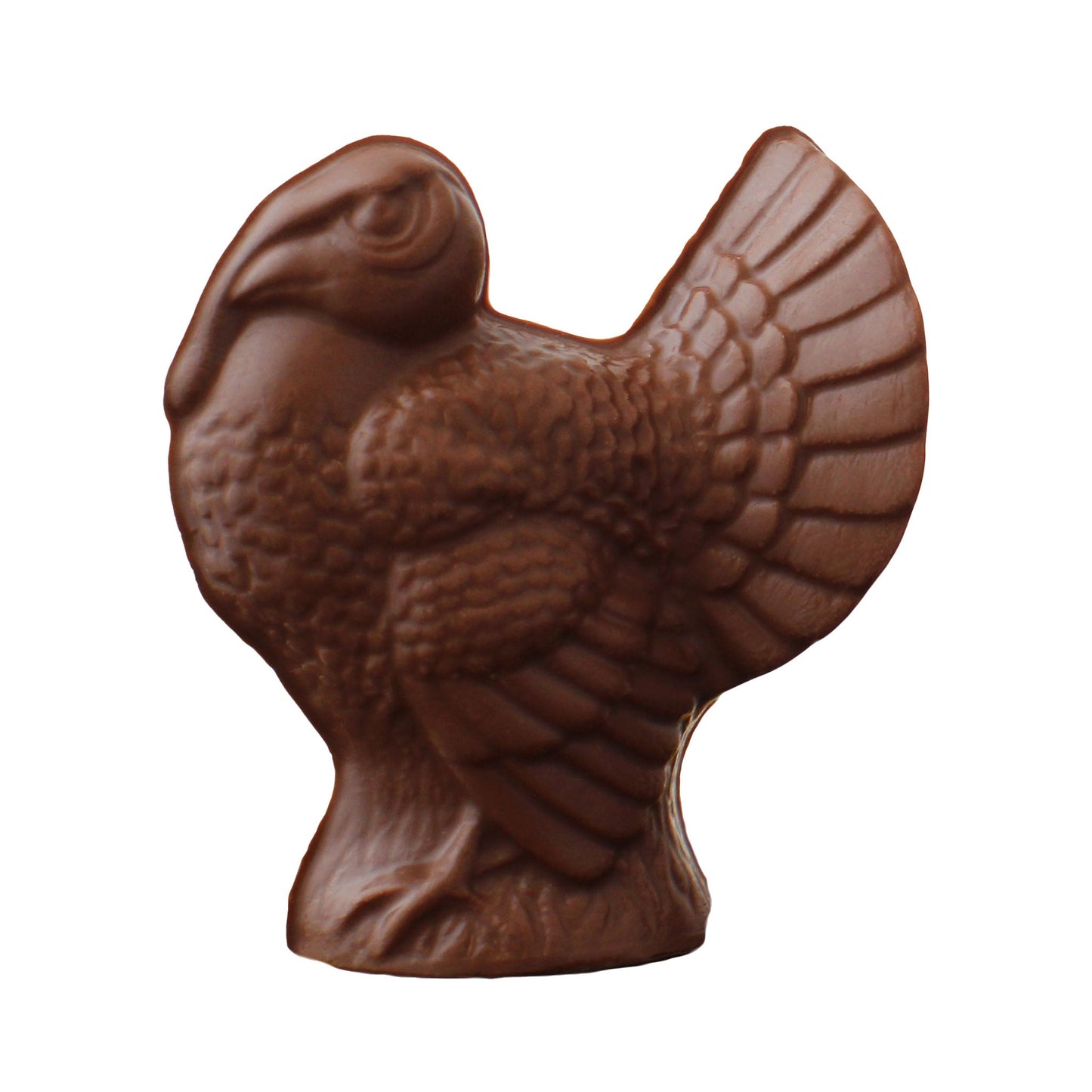 3-D Turkey