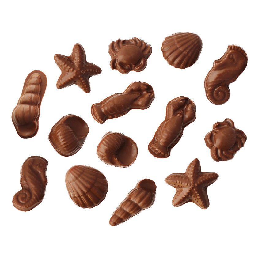 Chocolate Sea Shells