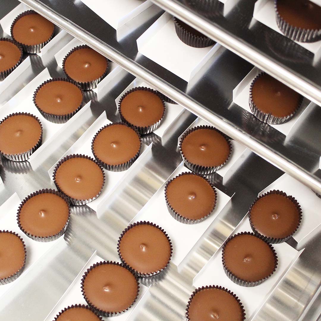 Winter Sun Blossoms®